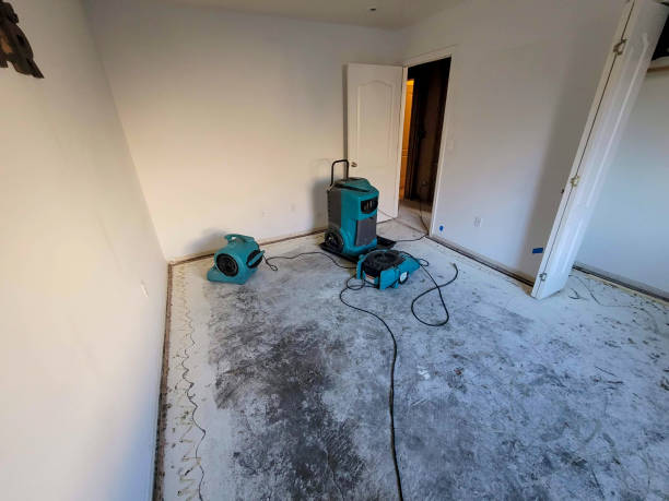 Best 24/7 water damage repair  in Wildwood, MO