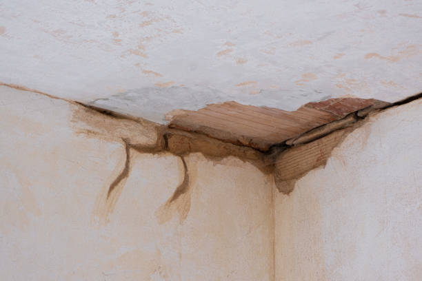 Best Emergency water damage restoration  in Wildwood, MO