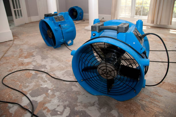 Best Flood damage cleanup  in Wildwood, MO