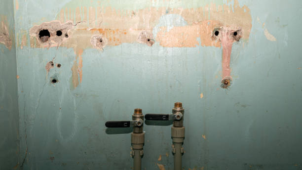 Best Carpet water damage restoration  in Wildwood, MO