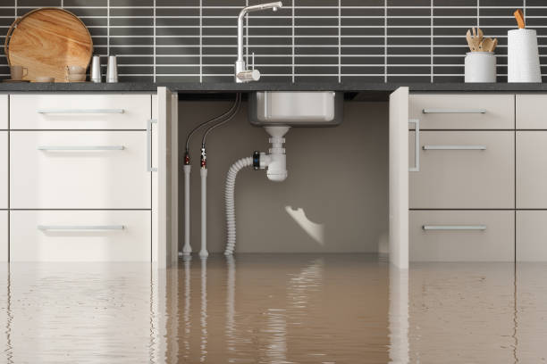 Best Commercial water damage restoration  in Wildwood, MO