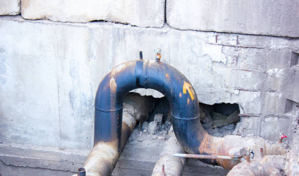 Best Professional water damage repair  in Wildwood, MO