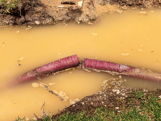 Water damage restoration insurance claims in Wildwood, MO