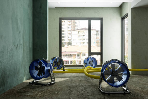Best Flood restoration services  in Wildwood, MO