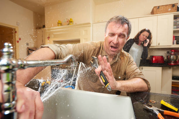Best Local water damage restoration  in Wildwood, MO